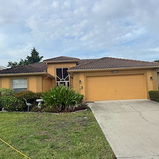 Soft-Wash-Roof-Cleaning-6 1